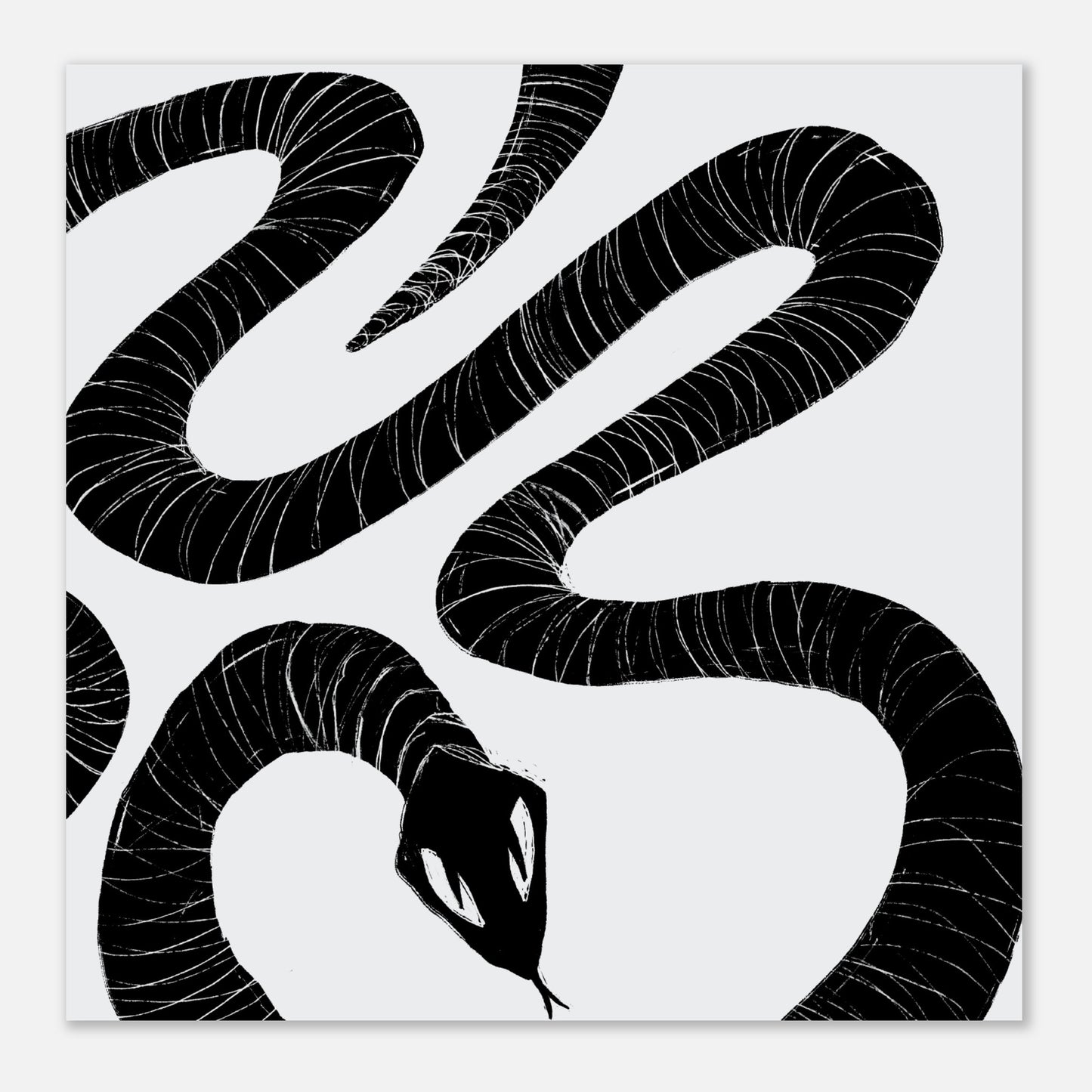 Il Serpente